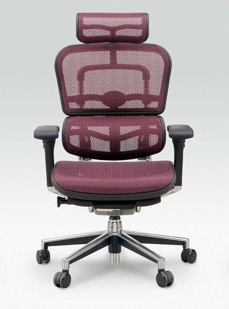 Amazon.co.jp: Ergohuman (エルゴヒューマン) メッシュチェア